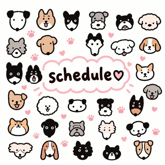 11月schedule♡