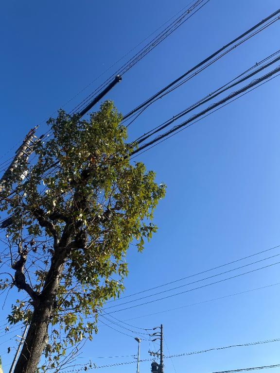 90分のやまちゃん🎈✨